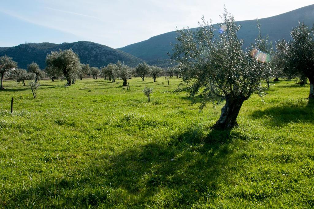 Casa Boho - Turismo Rural Bed & Breakfast Alvados Luaran gambar